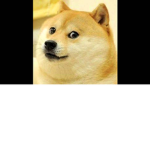 Fat baby doggy group