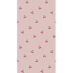 ѕσfтιєѕ-ѕтуℓєѕ