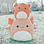 Squishmallows Group: )