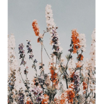 Aestheticallyxgabby