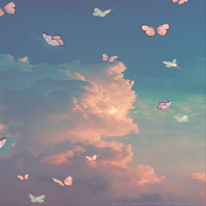 aesthetic pastel butterflys Roblox decal