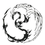 Dragons Souls