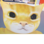 Strong cat fan club