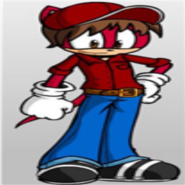 mario the hedgehog Roblox decal