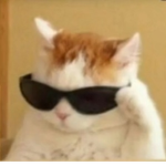 $moneyh$