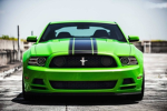 Green Army team...