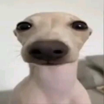 doação kk