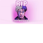 X fans Only Forever