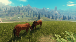 Augusts riding academy