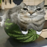 WATERMELON juice IN A BOOT