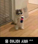 악잼그룹(구독자전용)