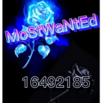 Mostwanted Taskforce