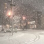 ﾟ  ｡♡ ｡  ﾟ