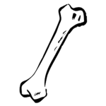 Stiff Bone Pirates