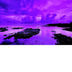 SILENCE OF THE SEA