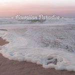 ~ _Hawaiian Paradise _~