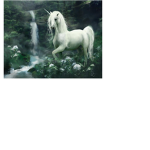 The Unicorn Health Group