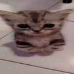 Chill like your self