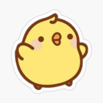 ! DUCKY SQUAD !