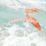 candy closet!!