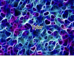 Tylerplayz_dev123