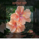 TWB_987