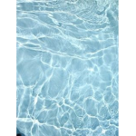AM SL