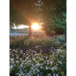 ~Blooming Boutique~ Group Thumbnail
