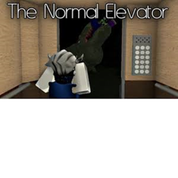 the Normal Elvator