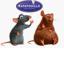 OOF and RAT