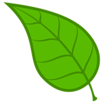 New Leaf.