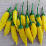 My lemon peppers