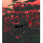 Roses <3 !