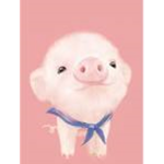 Piiggies