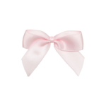 ~itrichelle’s pink fantasy~