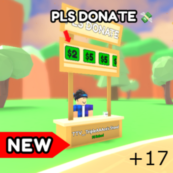 PLS DONATE 💸 +17