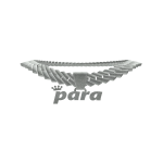 Para Chain