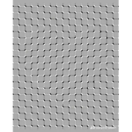 austynn group