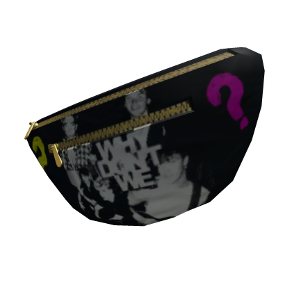 WDW Fanny Pack - Why Don’t We