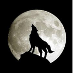 The Shadows Of Night