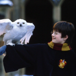 :: HARRY POTTER ::