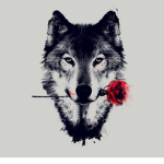 WolfPack and friends!