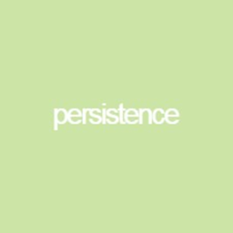 persistence
