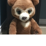 CUTE BEARS ONLY SQUAD