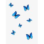 butterfly_squad_1
