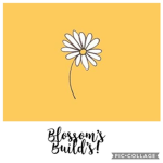 Blossom’s Build’s!