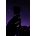 Aesthetic56