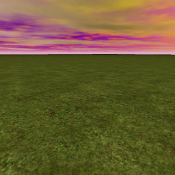 X LAND