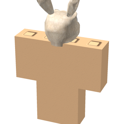 [✨] Walking Bunny Model