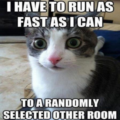 01_FUNNY-CAT-MEME Roblox decal